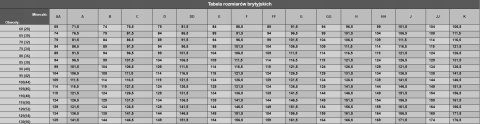 NOWY Angielski turkusowy koronki morski stanik 80B NOWY Angielski turkusowy koronki morski stanik 80B